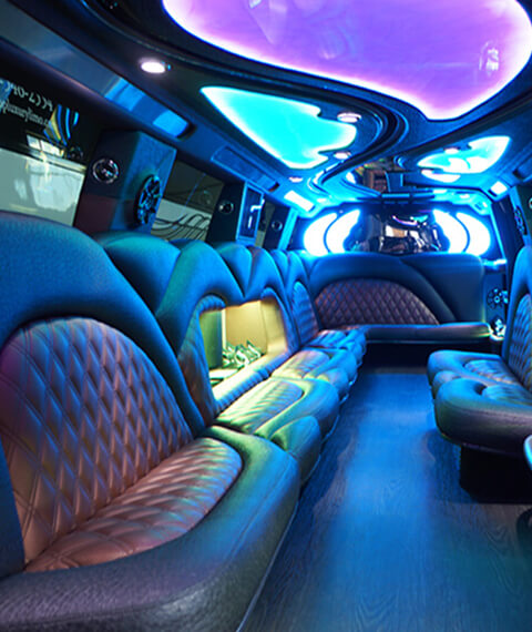 fiber optic lights