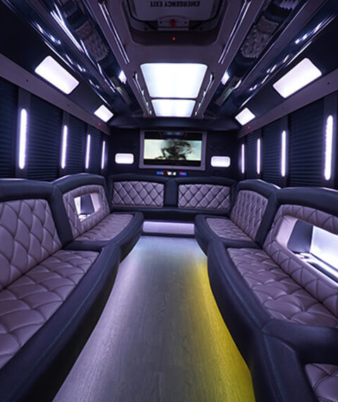 leather seats